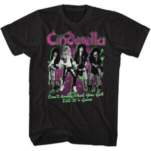 New Adult Large Cinderella t-shirt